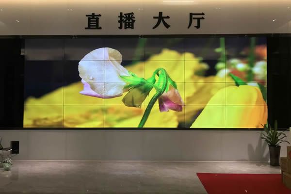 直播大屏用哪種好，直播大屏有哪些