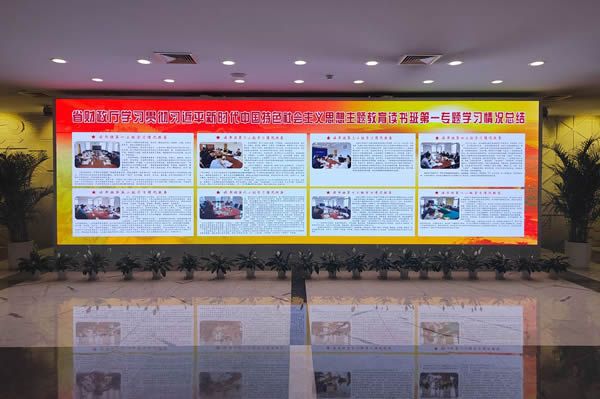 國內(nèi)有哪些COB顯示屏廠家做得比較好的？